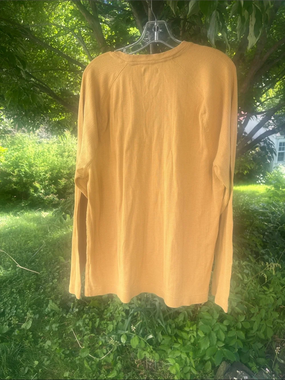 Banana Republic Ribbed Knit Crewneck Top in Warm Mustard